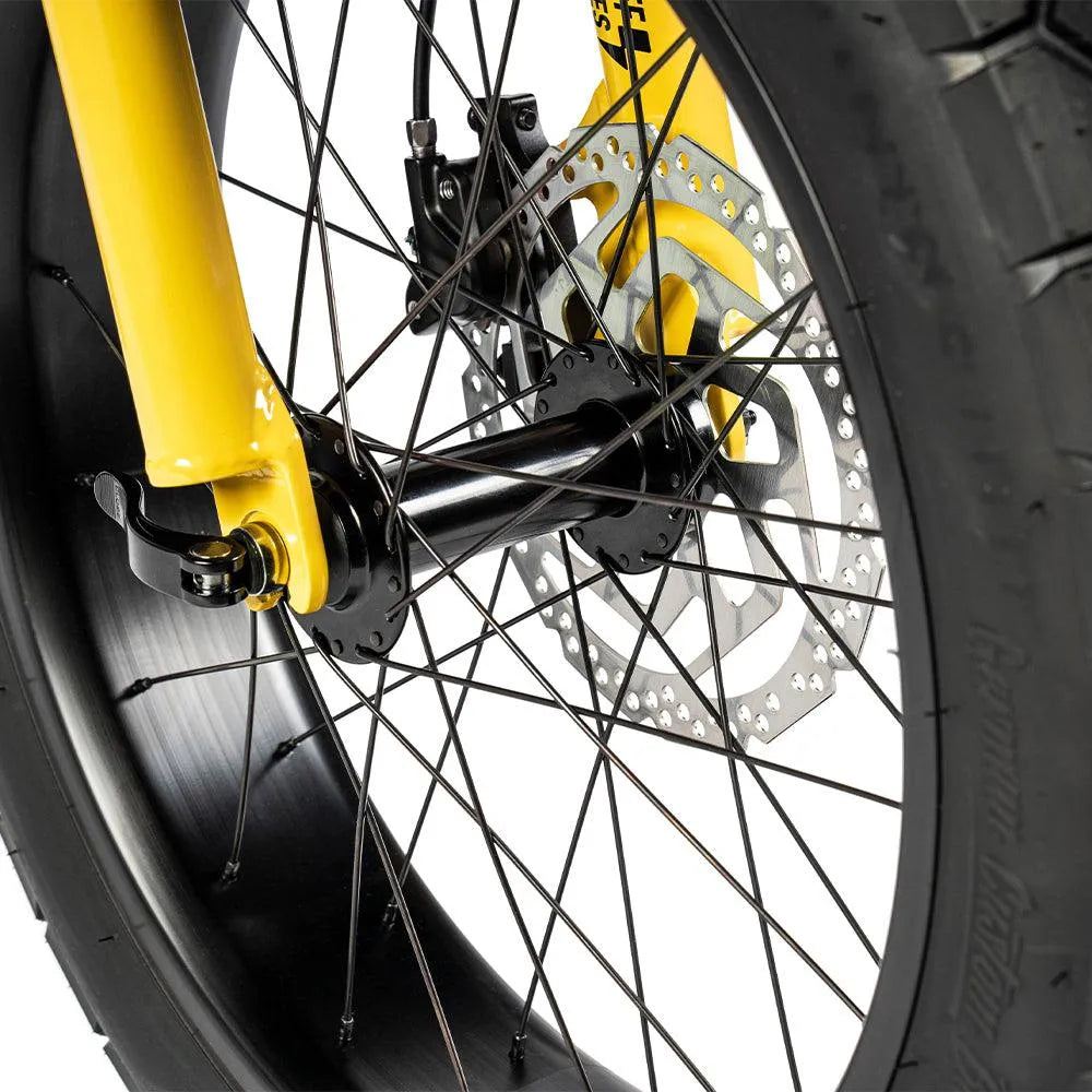 Ruff Cycles Lil&