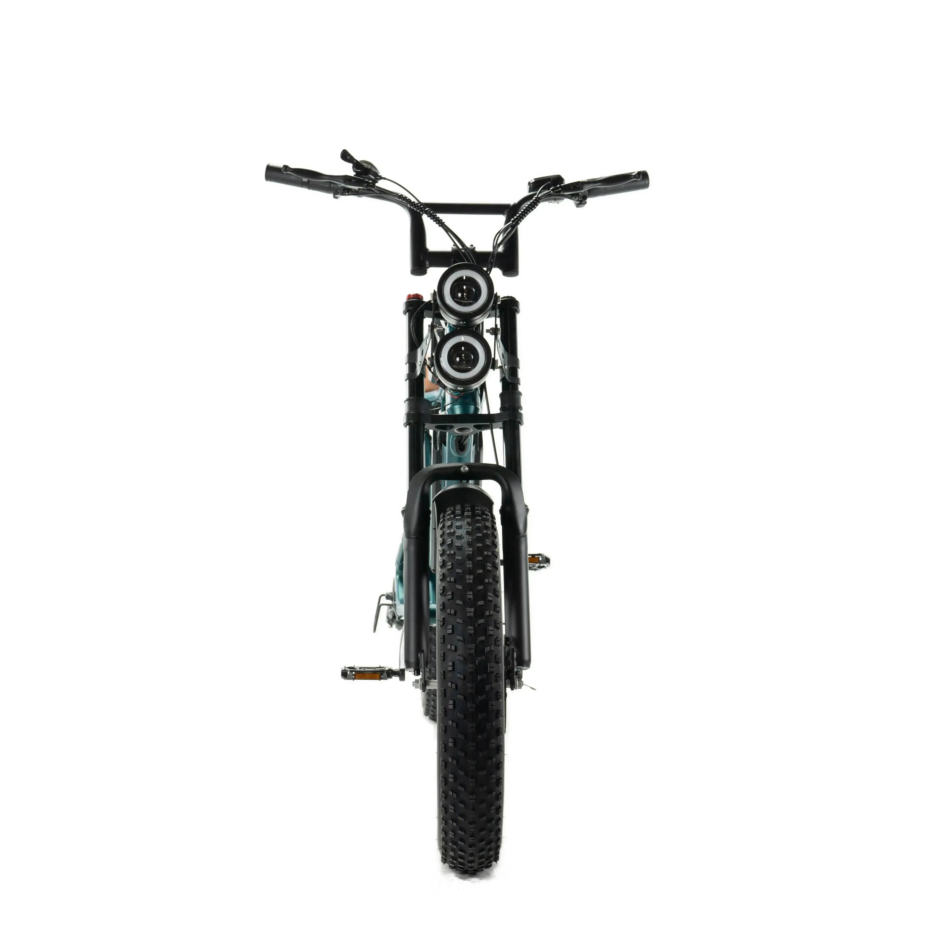 ENGWE M20 - Fatbike - Dubbele Accu - Groen