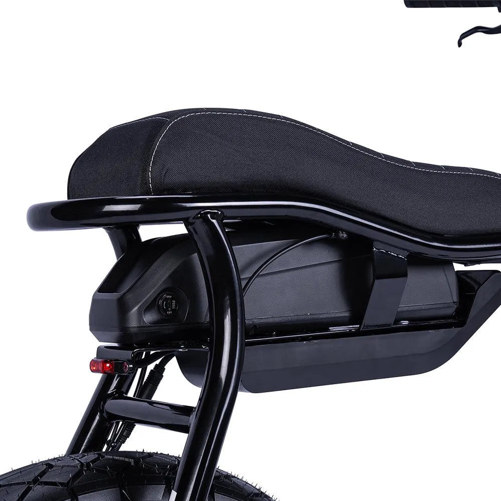 Ruff Cycles Lil&