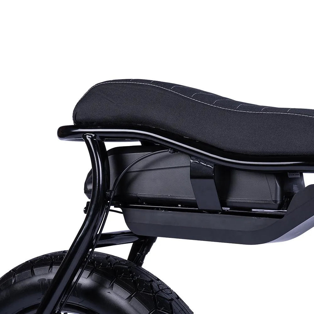 Ruff Cycles Lil&