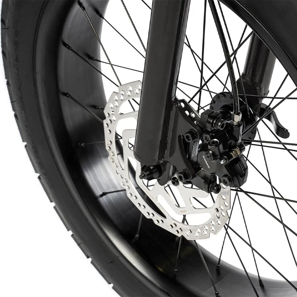 Ruff Cycles Lil&