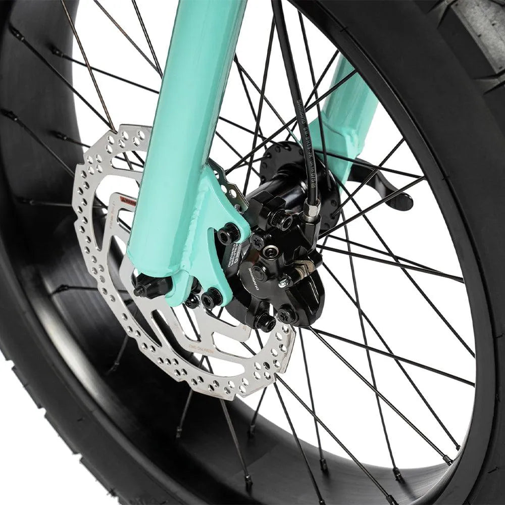 Ruff Cycles Lil&