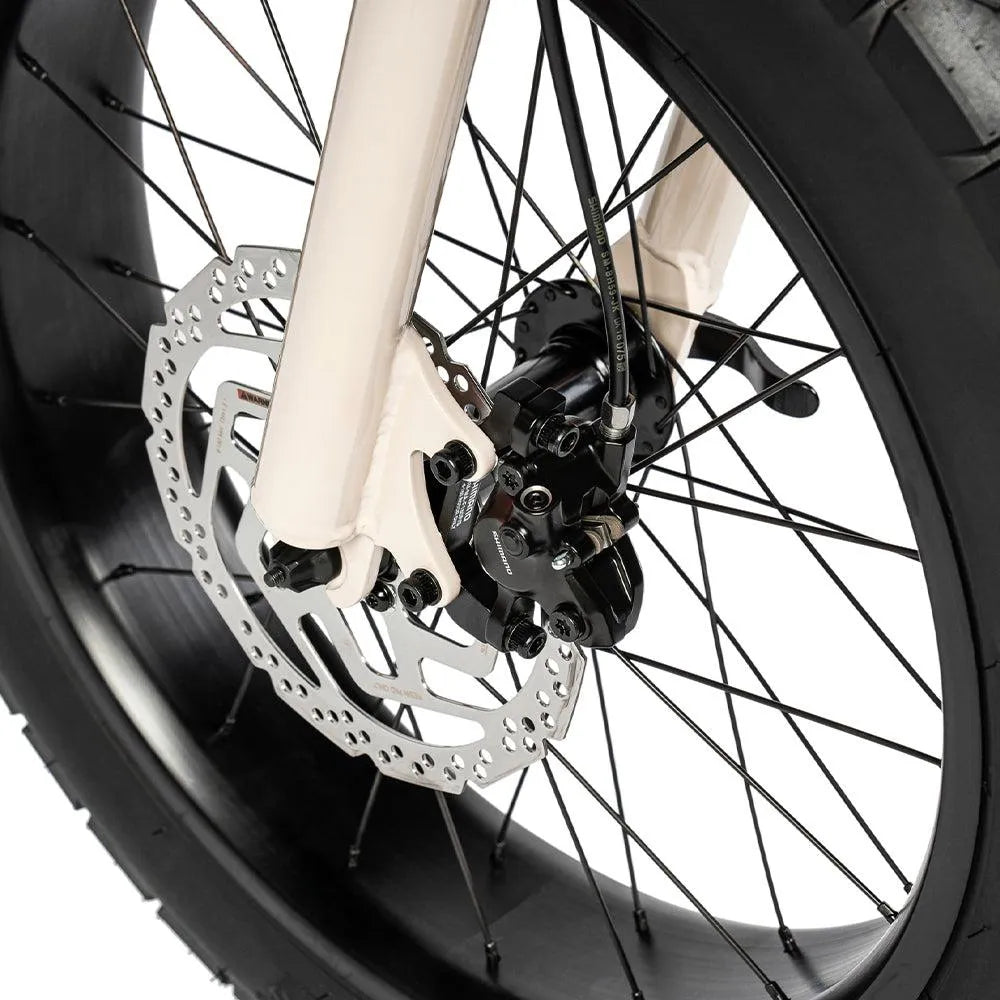 Ruff Cycles Lil&