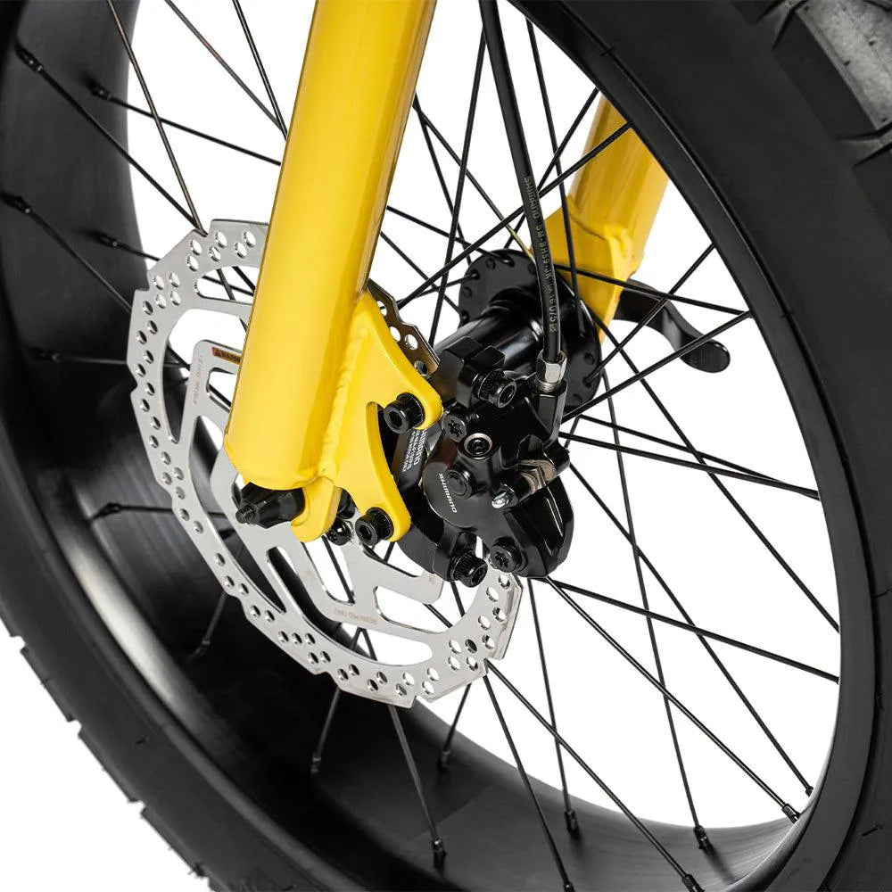 Ruff Cycles Lil&