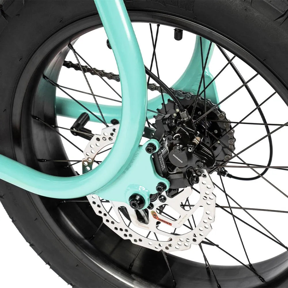 Ruff Cycles Lil&