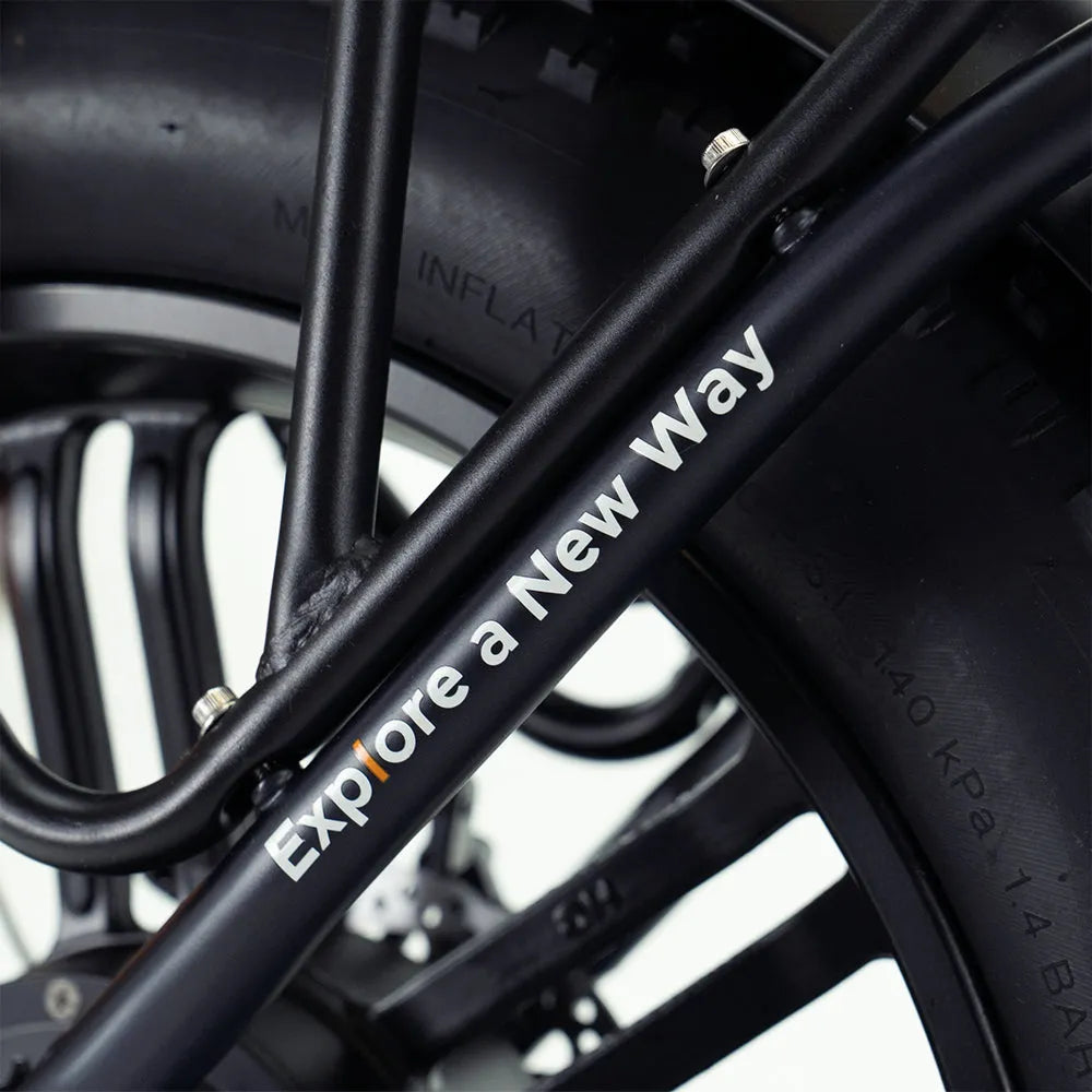 ENGWE L20 Boost - Zwart