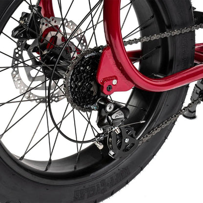 Ruff Cycles Lil&