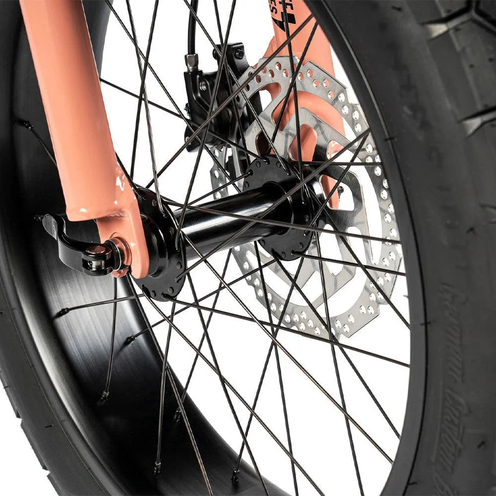 Ruff Cycles Lil&