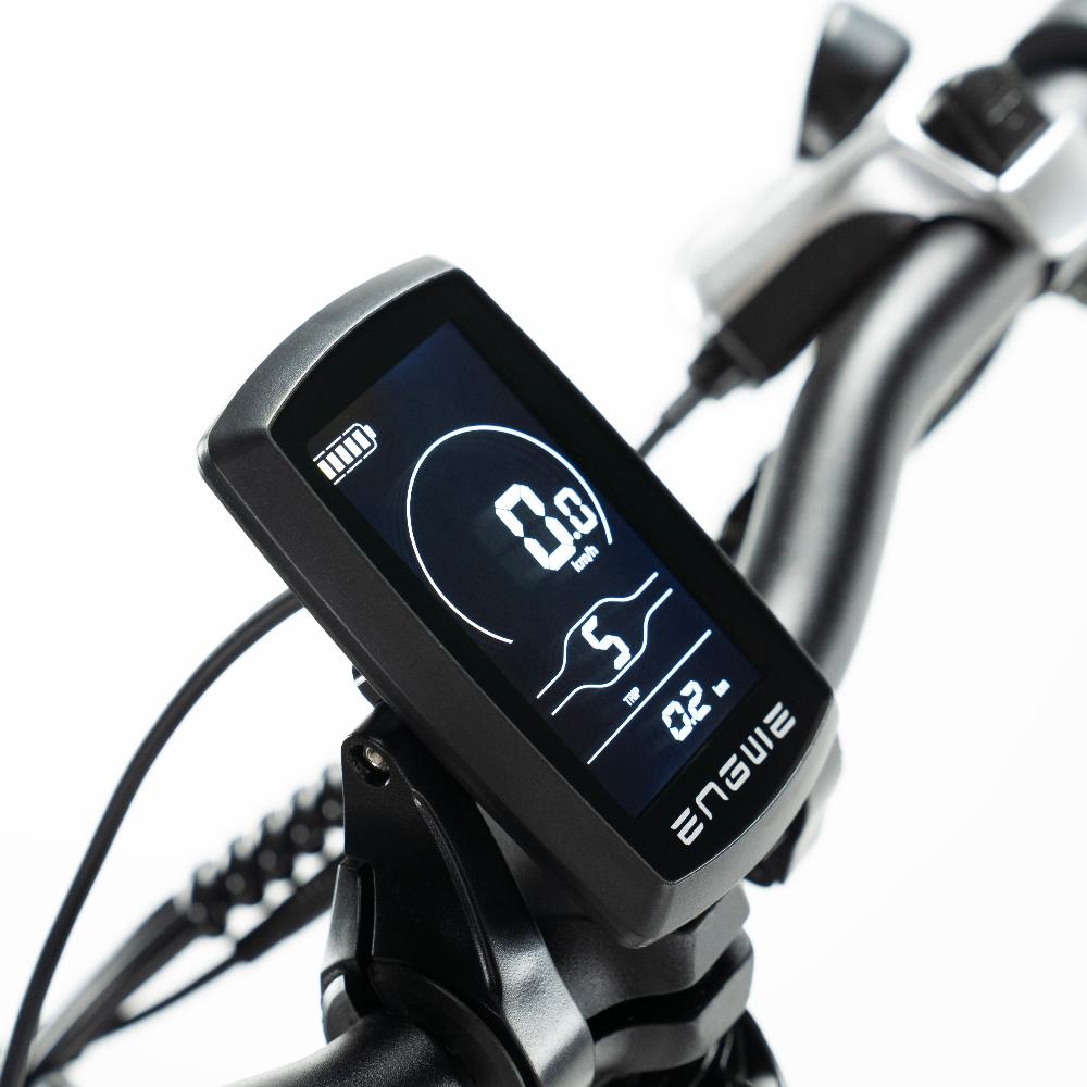 ENGWE EP 2 PRO - Elektrische Vouwfiets - Grijs