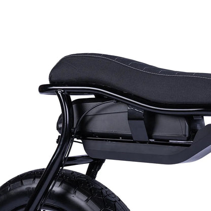 Ruff Cycles Lil&