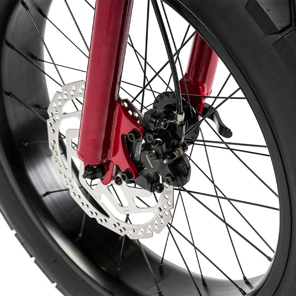 Ruff Cycles Lil&