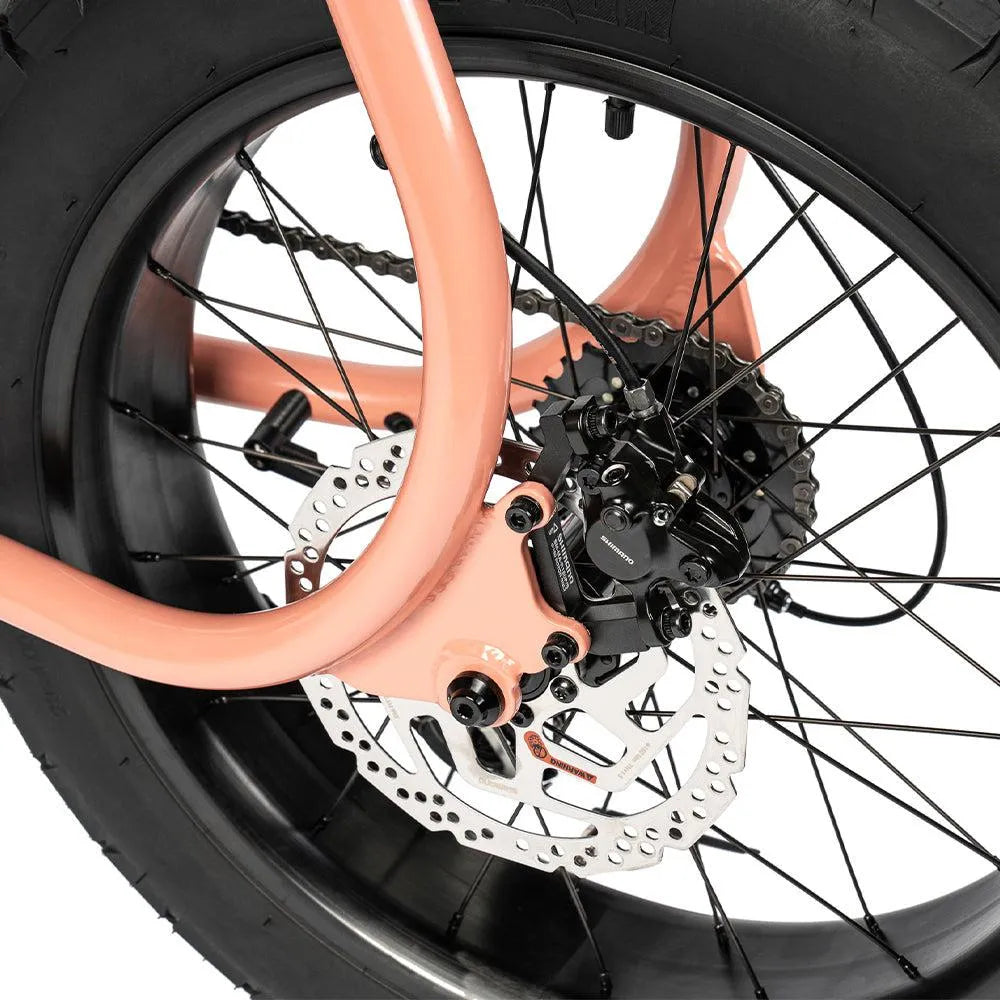 Ruff Cycles Lil&