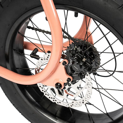 Ruff Cycles Lil&